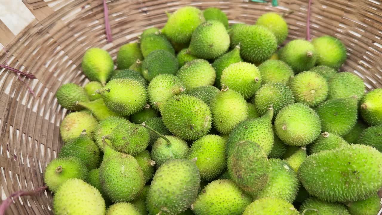 Desi fresh contola or kantola spiny gourd or spine gourd (momordica dioica) a wild indian vegetable for sale at the farmers market