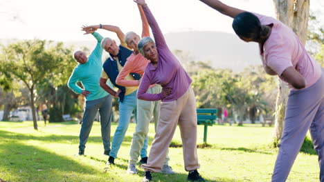 senior group exercising in the park
