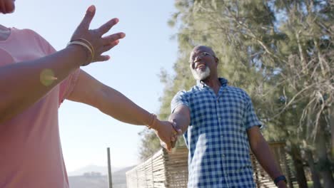 Feliz-Pareja-Afroamericana-De-Alto-Rango-Tomándose-De-La-Mano-Y-Caminando-En-La-Naturaleza-Soleada,-Cámara-Lenta