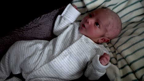 overhead view of 11 day old newborn baby boy with shaved head looking with wide awake eyes