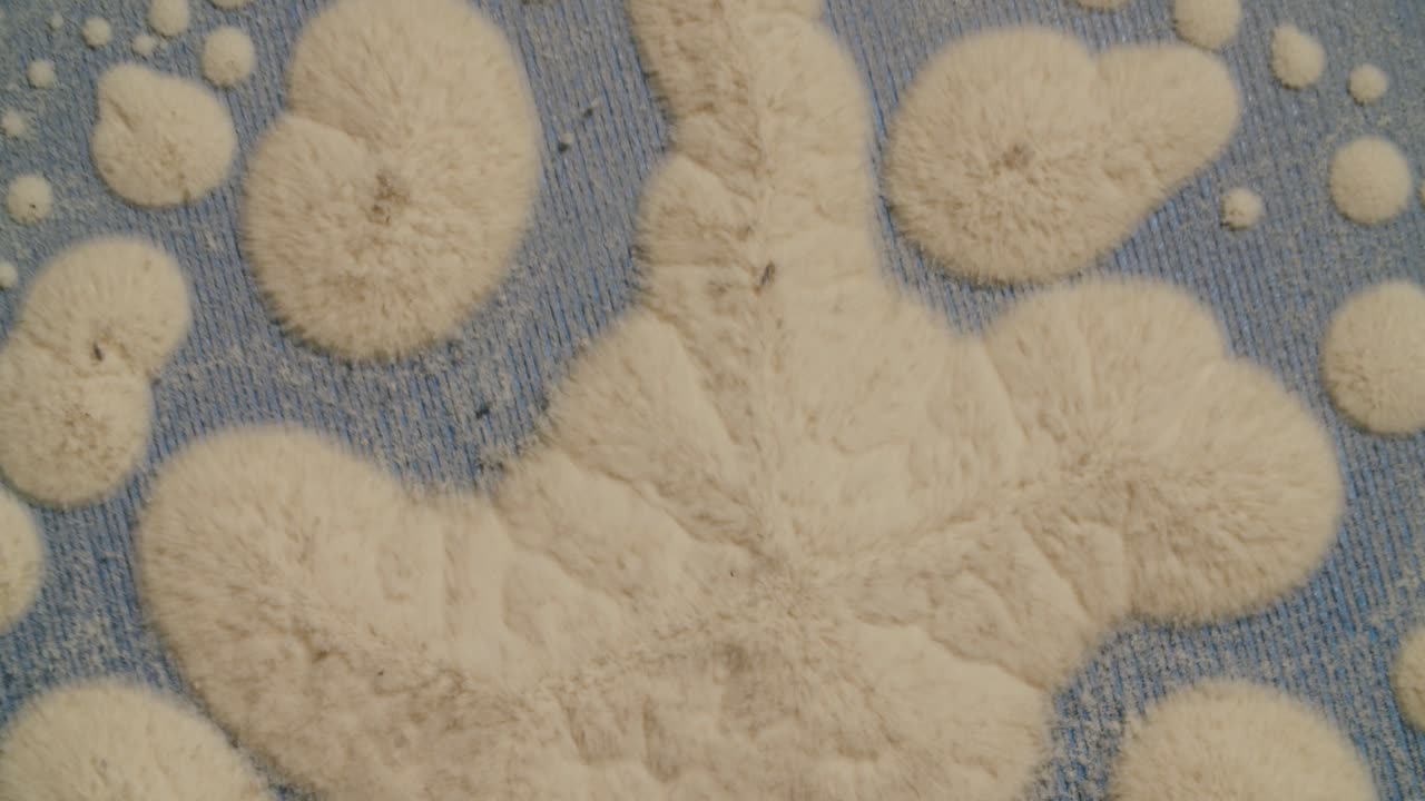 진동하는 표면에서 튀는 모래 같은 물질이 사이매틱 패턴을 형성한 다음 다시 분산됨