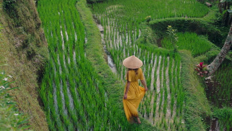 Mujer-Caminando-En-Un-Arrozal-Con-Un-Vestido-Amarillo-Con-Sombrero-Cónico-Explorando-Una-Exuberante-Terraza-De-Arroz-Verde-En-Un-Paisaje-Cultural-Vacaciones-Exóticas-A-Través-De-Bali-Indonesia-Descubre-Asia