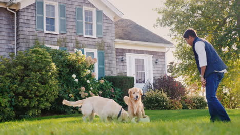man plays with dogs in backyard