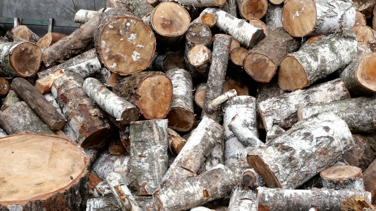 각기 다른 가로편의 잘라진 버드 나무 어리가 뒷마당이나 창고에 쌓여 있습니다.