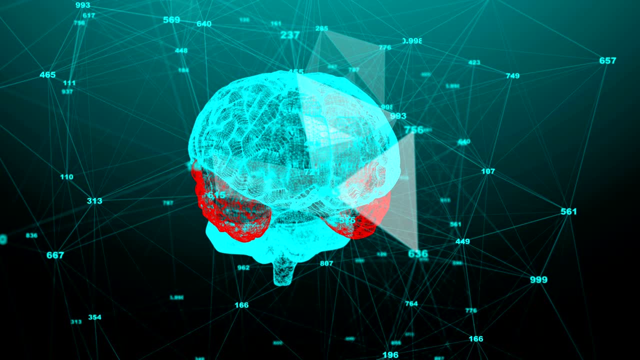 el cerebro humano. plexo con números. hermoso fondo. el concepto de ciencia, medicina y negocios. animación de bucle