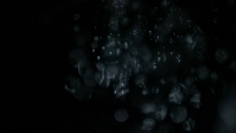 macro high speed pov of downpur of water onto camera lens