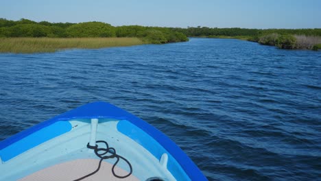 Establishing-shot,-blue-boat-deck-in-Adolfo-Lopez-Mateos-Baja-California-sur,-Mexico,-Mangrove-forest-in-the-background