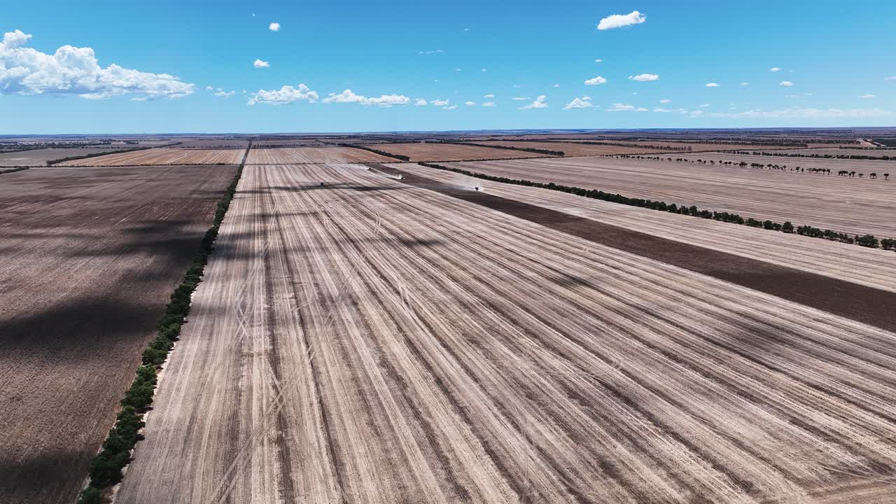 изучить передовые машины и точность в действии во время крупномасштабной операции по сбору люпина