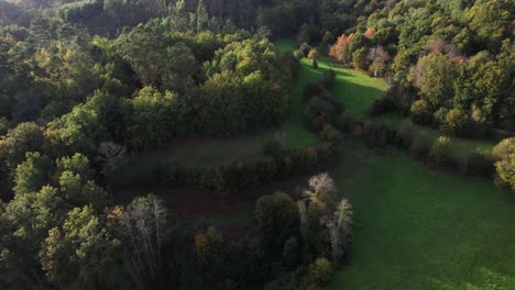 drone flying above dense forest and green fields