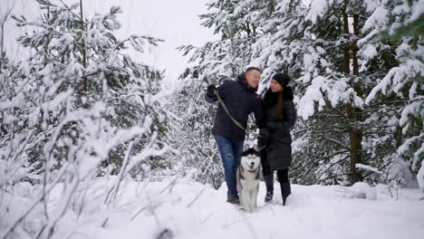 people on a walk in the forest. a man and a siberian husky dog are pulling a sleigh with a child in the snow in the forest. a woman is walking in the forest