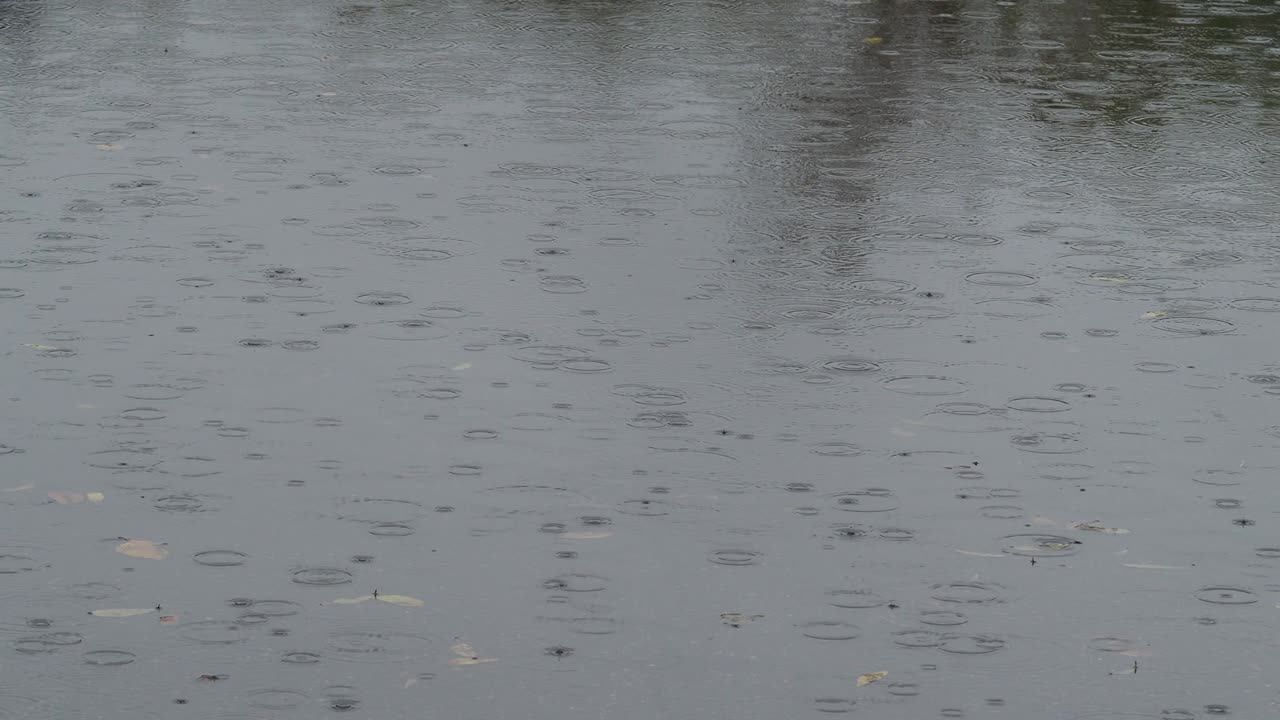 raindrops fall on wet surface of asphalt road