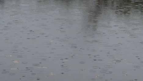 raindrops fall on wet surface of asphalt road