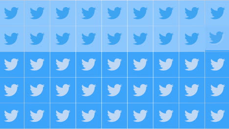 social twitter icons pattern on network background