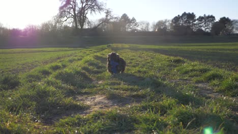 Adorable-puppy-dog-fetching-blue-toy-and-running-back-fast-towards-camera-on-grass-field-in-the-park-in-super-slow-motion-during-summer-with-puppy-dog-eyes