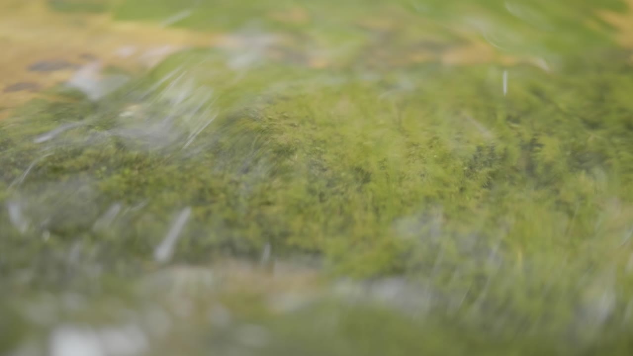 agua que fluye sobre rocas cubiertas de musgo
