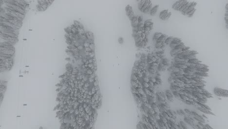 aerial top down view of skiers skiing down cooper mountain in colorado, usa. snowstorm.