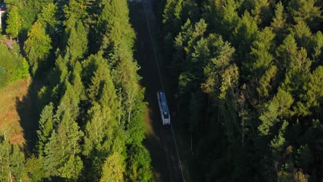 &quot;Raíles-A-Través-De-La-Naturaleza:-Vistas-Aéreas-Del-Tren,-Bosque