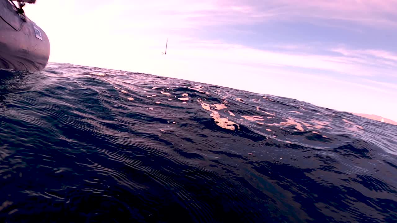 크랭크베이트 루어는 어부가 급히 조디악 보트에 감아올립니다.