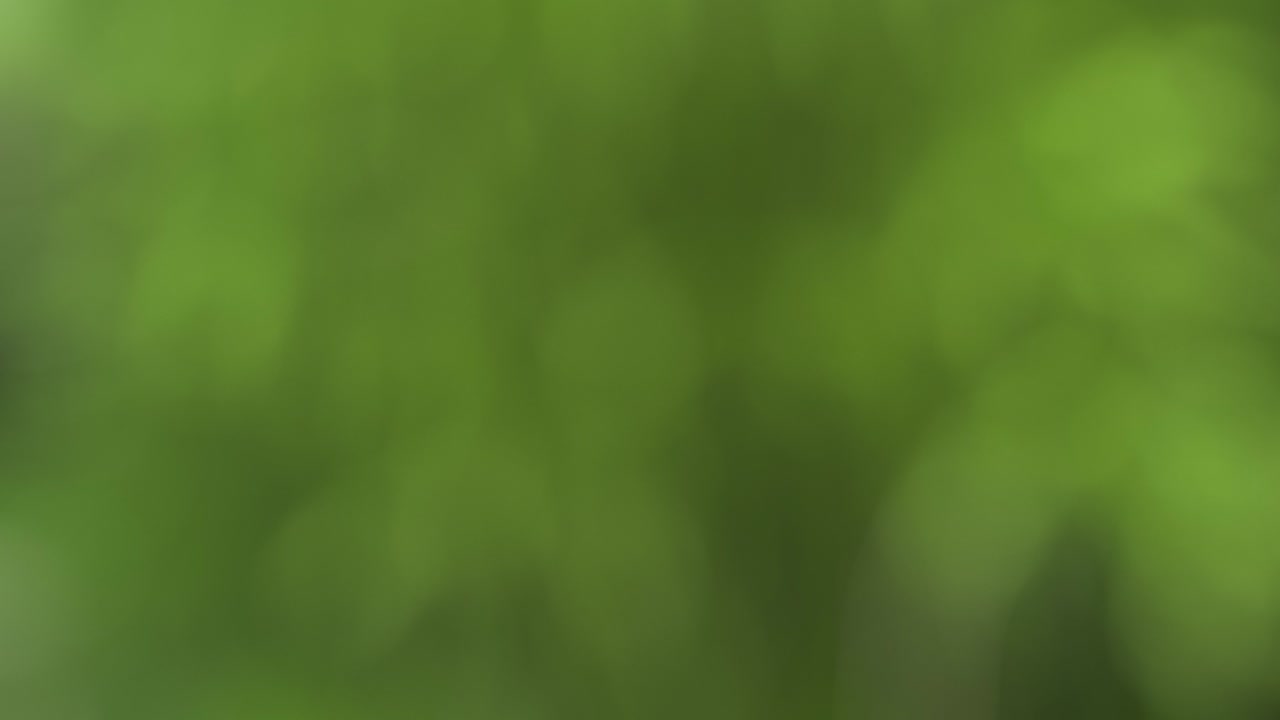 vuelo de peras y rebanadas en el fondo del jardín