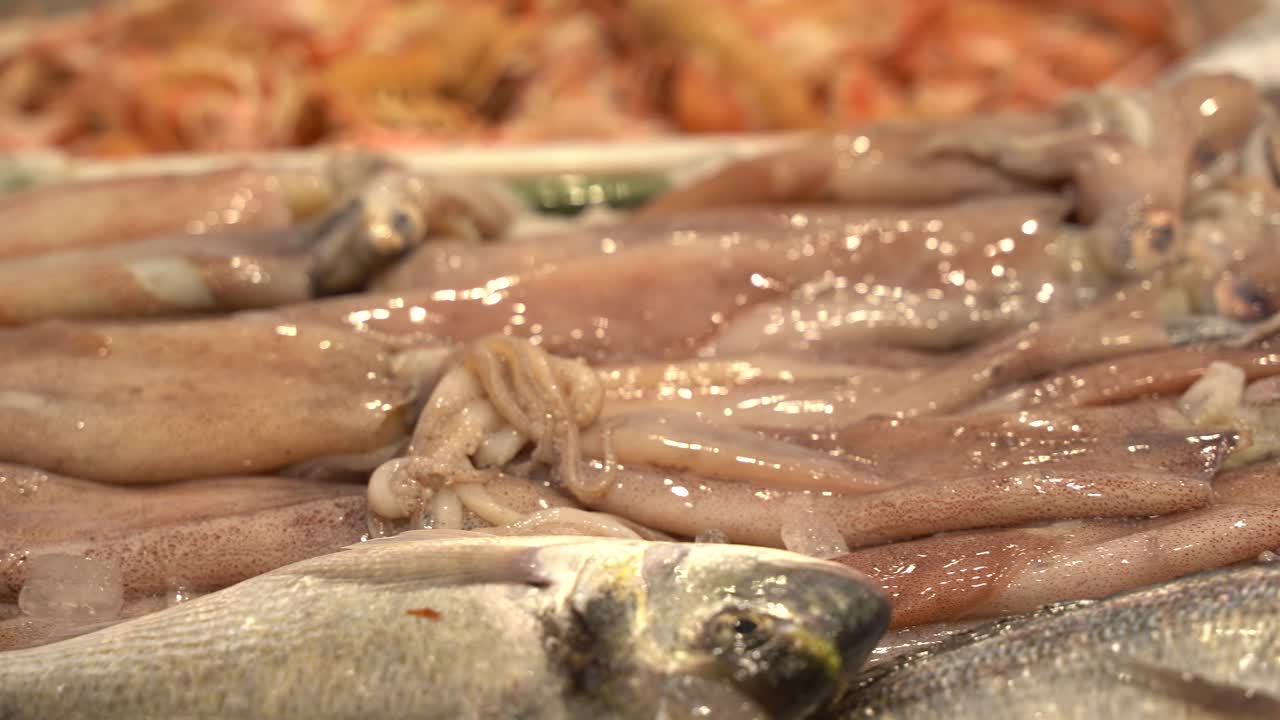 fresh seafood at the food market in Croatia, ready to be sell