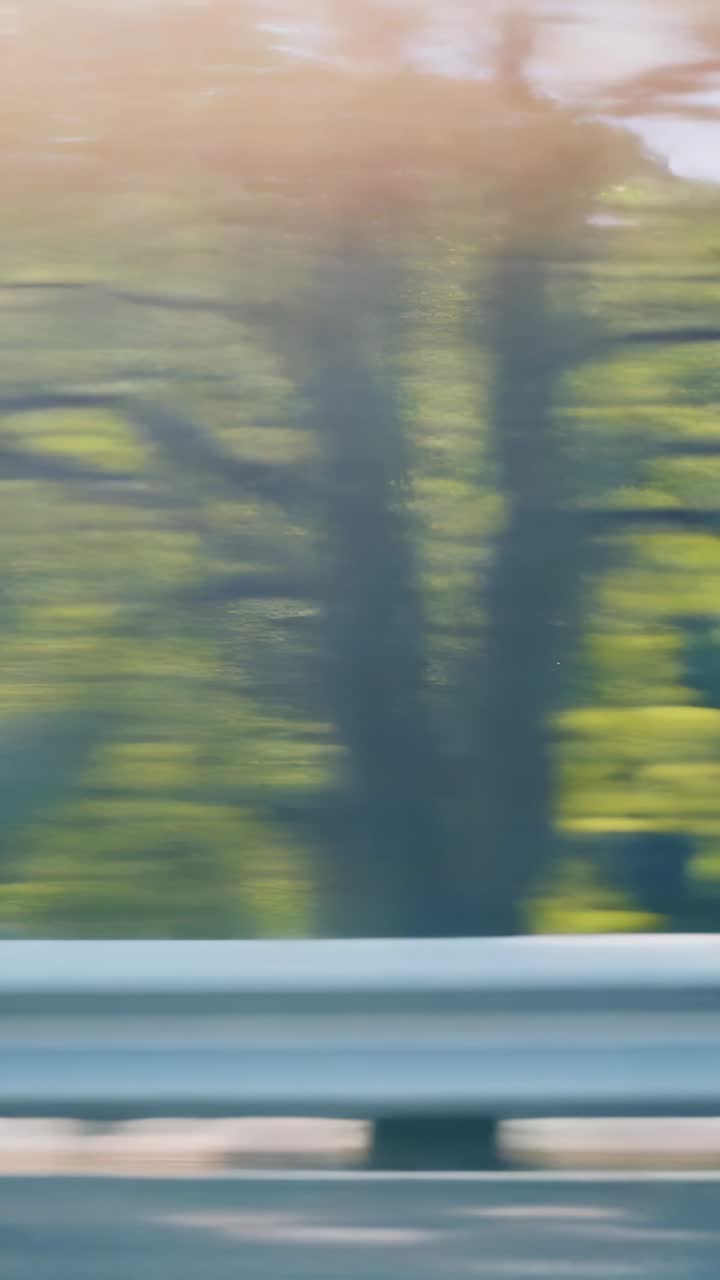 Vertical video: Driving dashcam filming metal guardrail passing on highway, sunlit foliage blurring