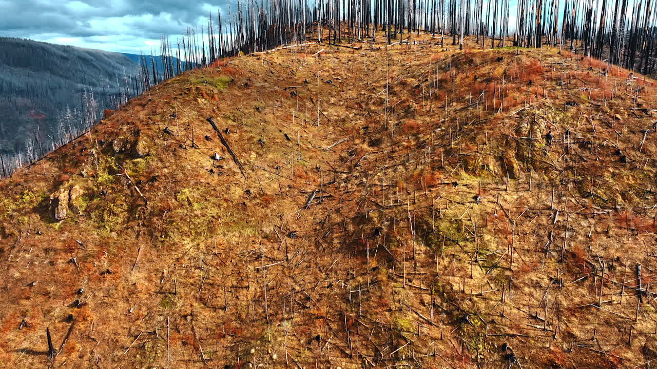 Rising by the rock with leftovers from trees. Bare mount with the top covered with burnt wood.