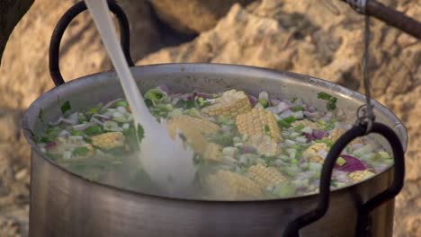 a large pot of vegetables and meat boiling over an open fire