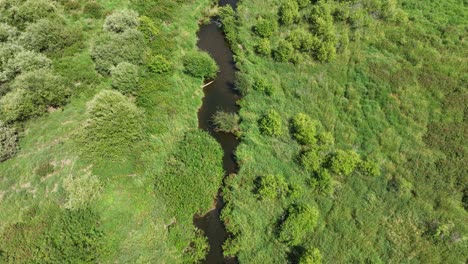 Drone-shot-of-Breakfast-Creek-slowly-making-its-way-to-Spirit-Lake,-Idaho