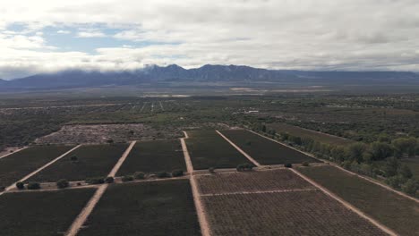 Panoramic-aerial-view-of-a-cloudy-day-over-extensive-plantations-of-Malbec-and-Torrontés-grapes,-nestled-in-the-Andes-Mountains-in-northern-Argentina