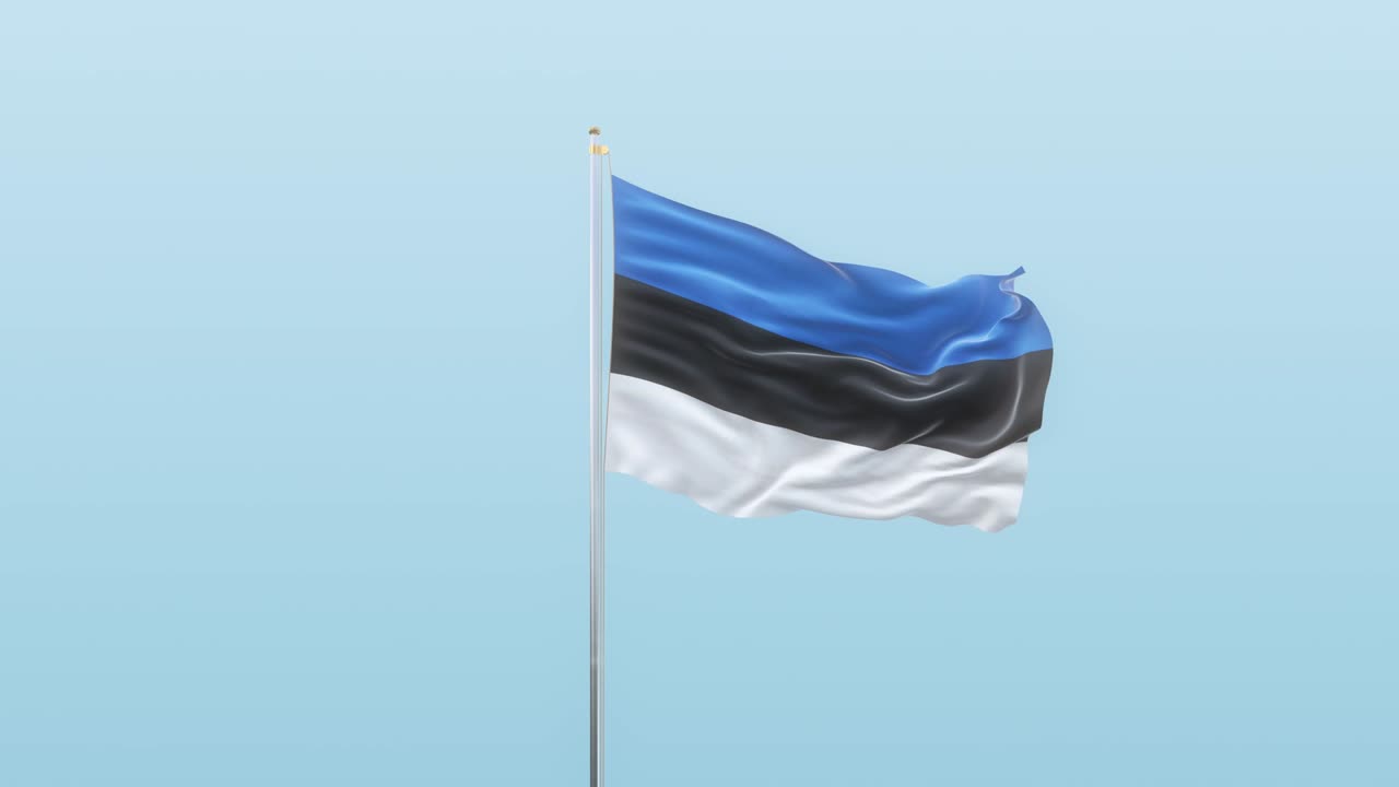 에스토니아의 발은 알파와 배경이 다른 각도에서 움직입니다.