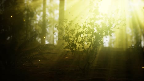 firefly-in-misty-forest-with-fog