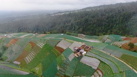 rainy weather and majestic plantations of indonesia, aerial drone view