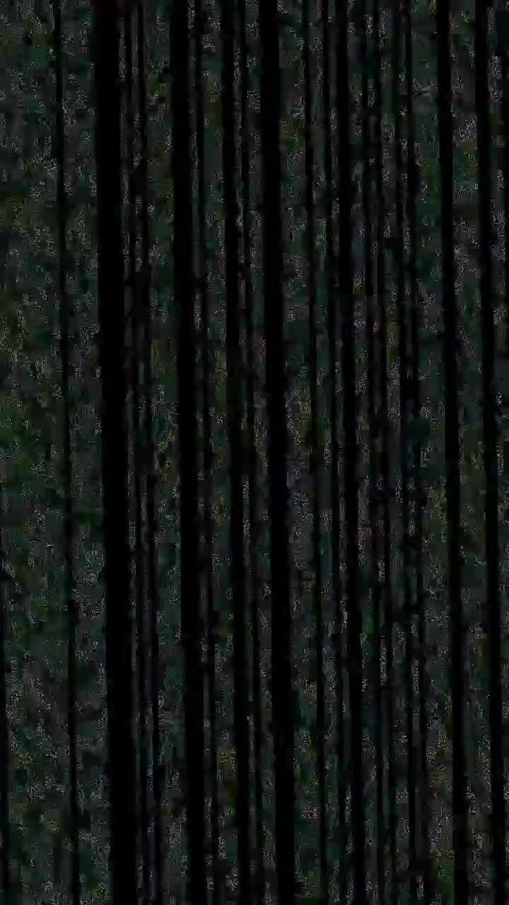 Abstract Digital Matrix Code Falling Down Vertical Screen