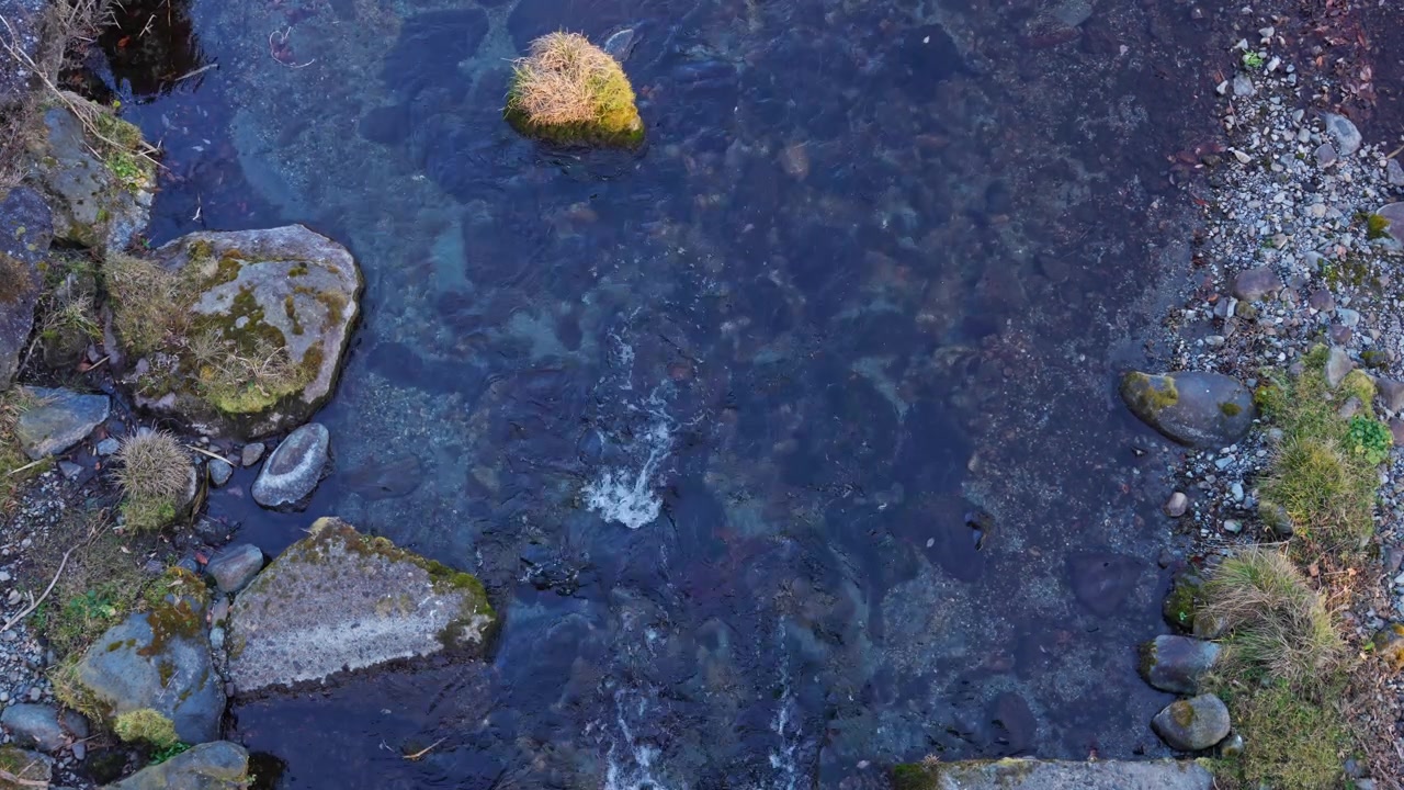 Acqua dolce limpida scorre dolcemente attraverso un fiume naturale giapponese, rivelando rocce e sassi sotto l'acqua trasparente in una suggestiva prospettiva aerea.
