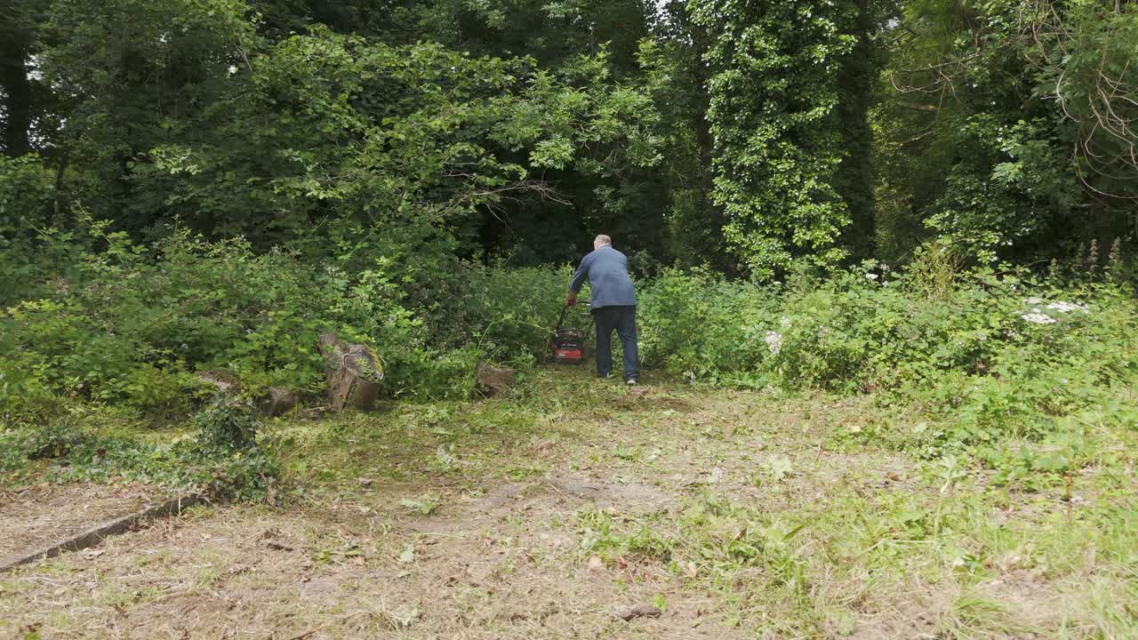 Man clearing overgrown brush in a garden or forest edge