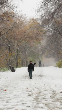 alguien caminando por el camino del parque cubierto de nieve, postes de lámparas camino de línea, invierno temprano con hojas caídas, escena de nieve serena, bancos vacíos en los lados, árboles con hojas restantes