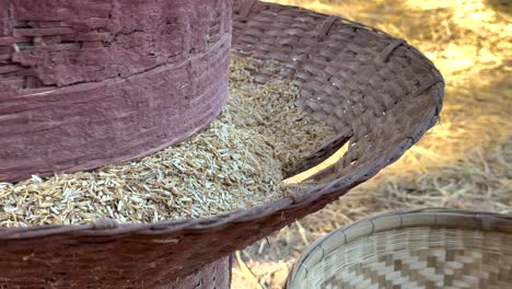 proceso de molienda del arroz utilizando equipos tradicionales