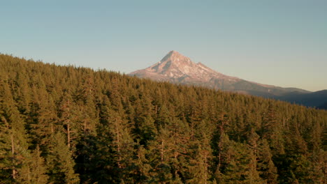 aerial shot over dense tree covered ridge line towards mount hood