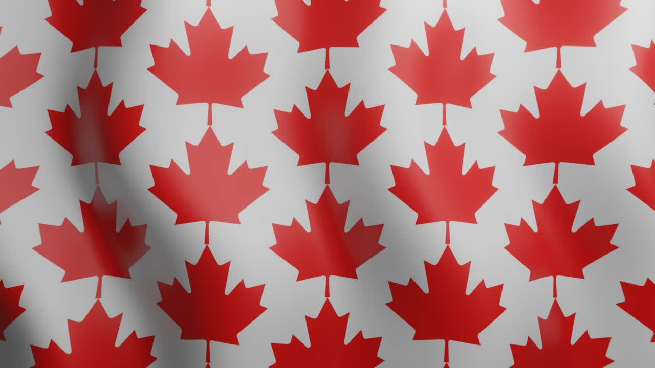 patrón animado de bucle con hojas de arce canadiense rojo. fondo gráfico de movimiento geométrico ondulante