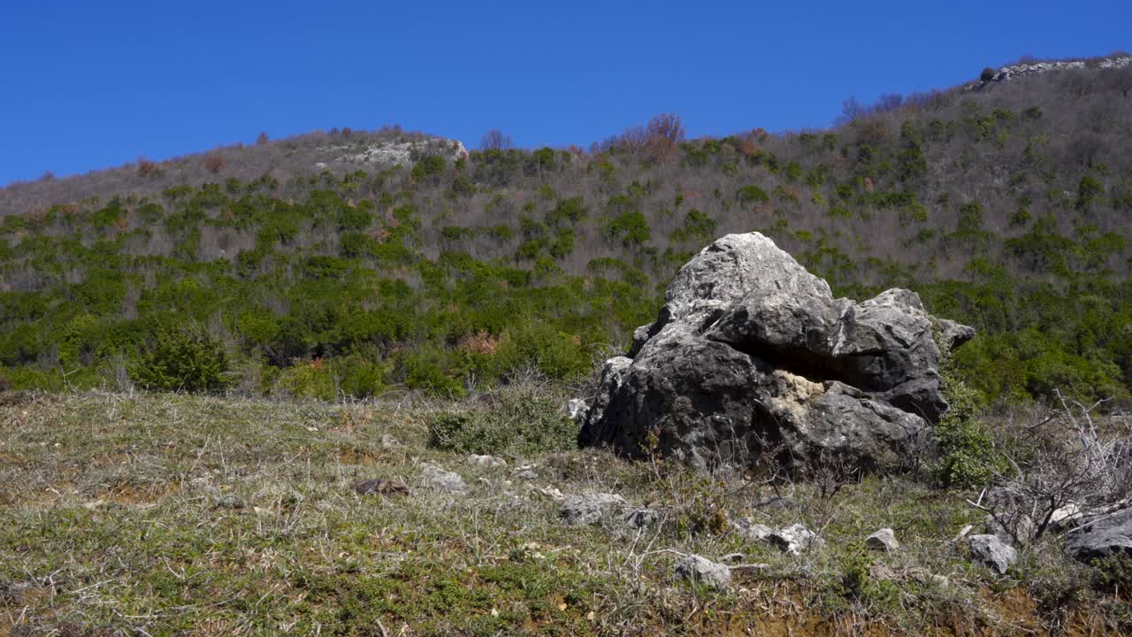 알프스의 푸른 하늘 배경에 푸른 초원이 있는 계곡에 나무 숲이 있는 산에서 떨어진 절벽