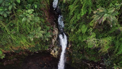 waterfall in the mountains of sarchi in costa rica, a place with a great climate perfect to visit with the family