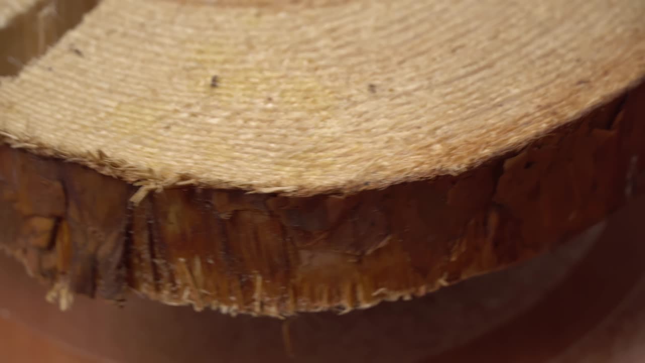 la sección transversal del viejo pino gira.