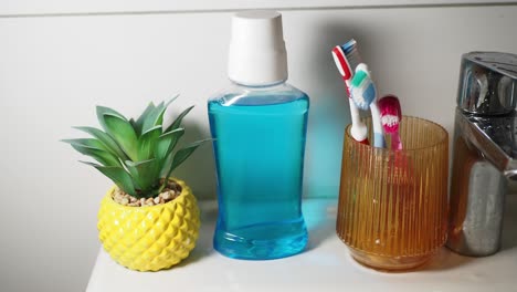 el fregadero del baño con enjuague bucal, cepillos de dientes y una planta de piña