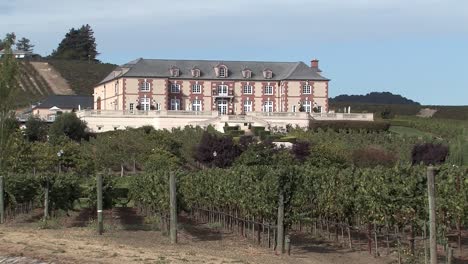 winery with vineyard in napa valley california, usa