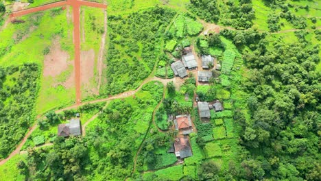 small-village-in-forest-bird-eye-view