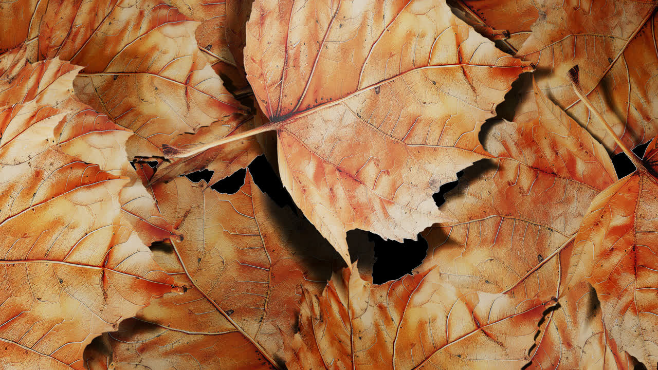 Pile of Dry Autumn Leaves Background