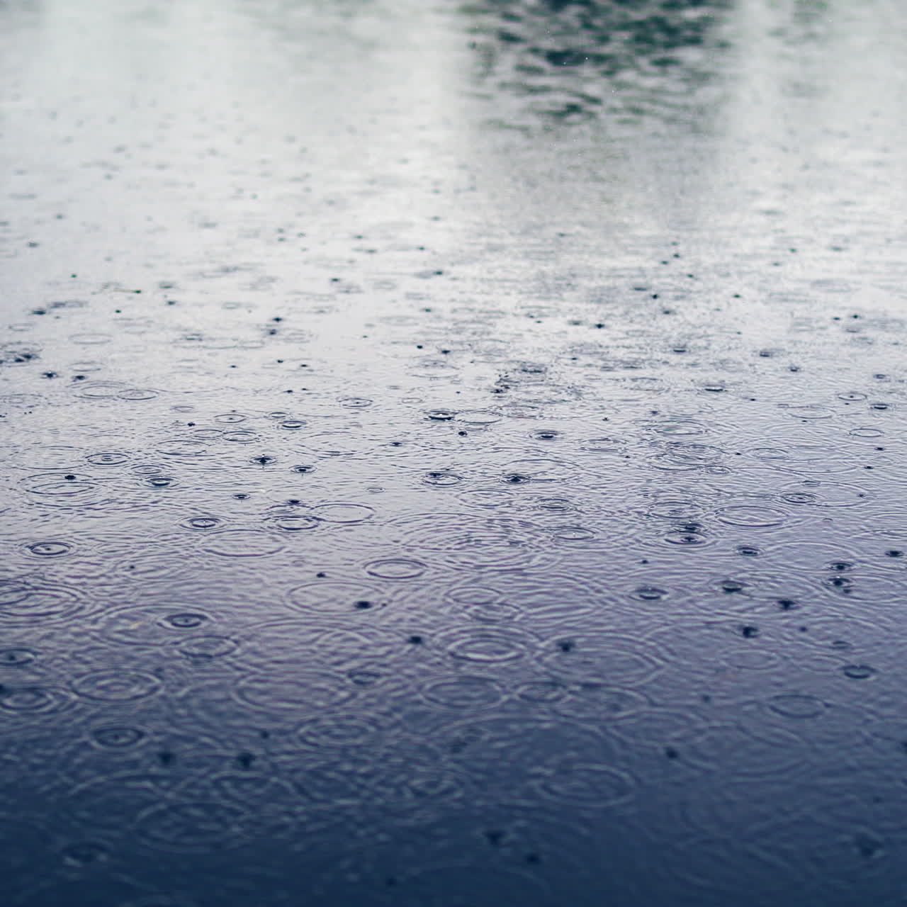Rain drops fall on water surface of pond, lake or river