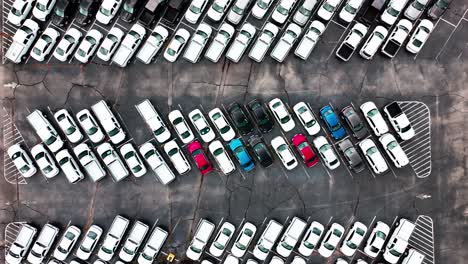 coches de policía sin marcas en un gran estacionamiento aéreo disparado directamente hacia abajo