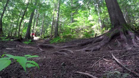 Woman-riding-unicycle-in-forest-path-4k