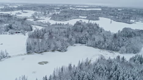 aerial flyover icy and snowy winter landscape with fields and trees in winter season